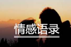 阳明侦探公司